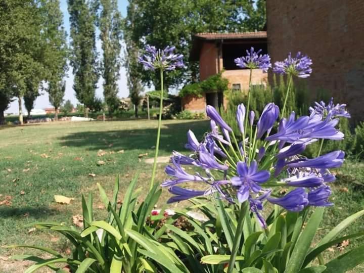 B&B Il Naviglio Di Antonelli Fabio Bastiglia Exteriér fotografie